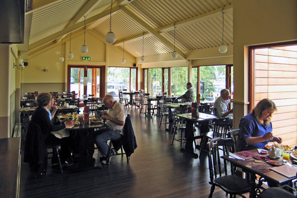 tcoeagle_600x400_05.jpg